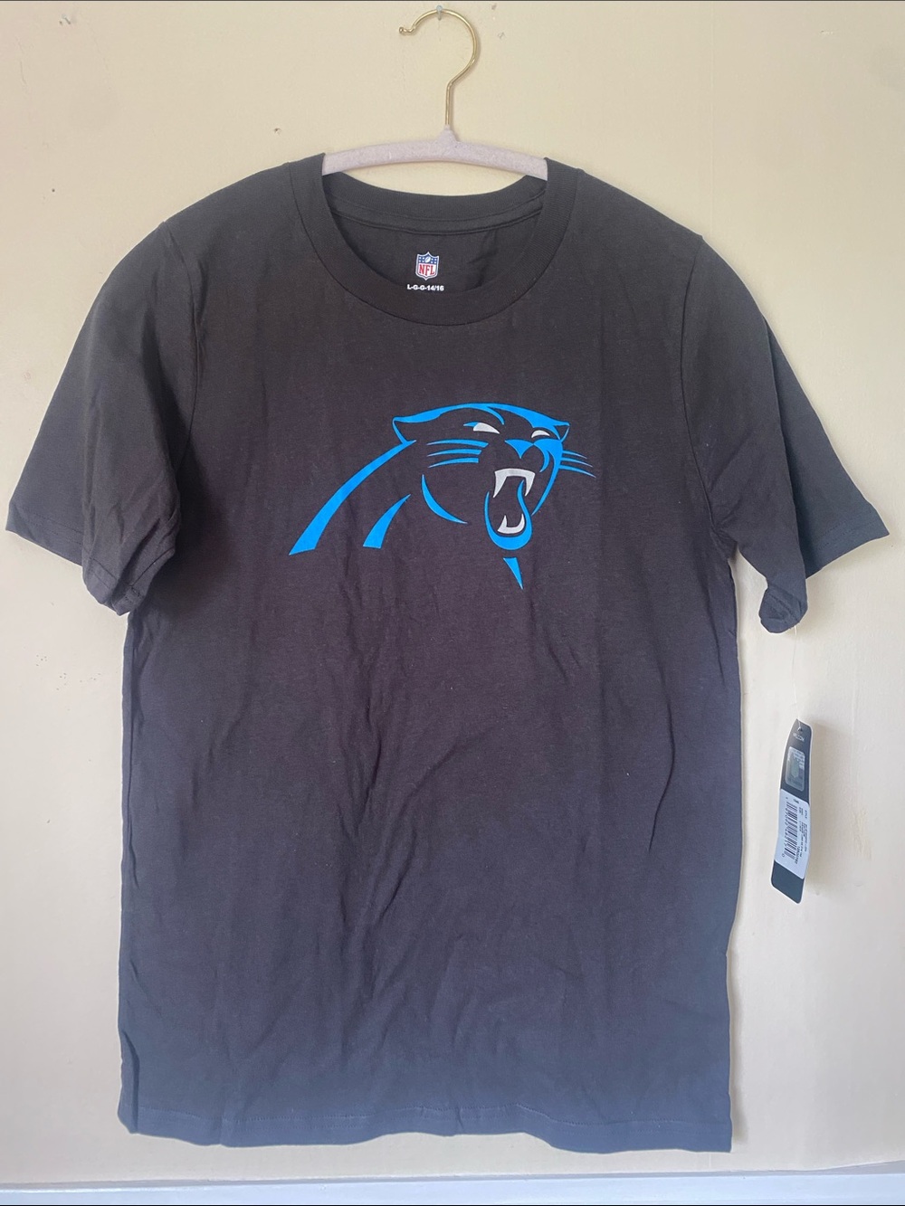 NFL‎ Carolina Panthers Youth Black Short-Sleeve Logo Tee - large